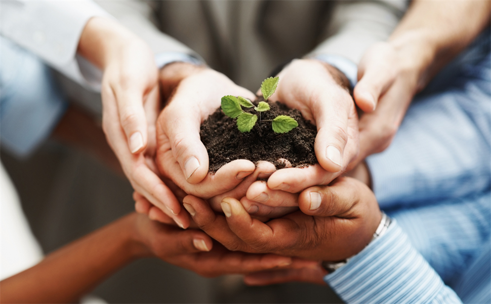 GROW Your Dental Group Into a Want-To Rather Than Have-To Culture