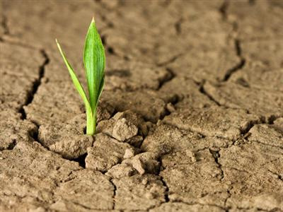 How to GROW Your Dental Group Through the Minefield of Change and Chaos