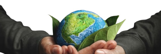 ESG: Pros and Cons of Values-Based Portfolios