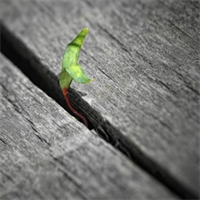 Living in the Gap with your Goals