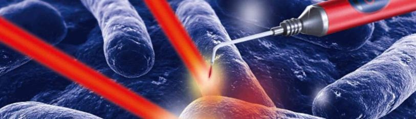 Advancements in Regenerative Dentistry: The Future of Healing in Clinical Practice