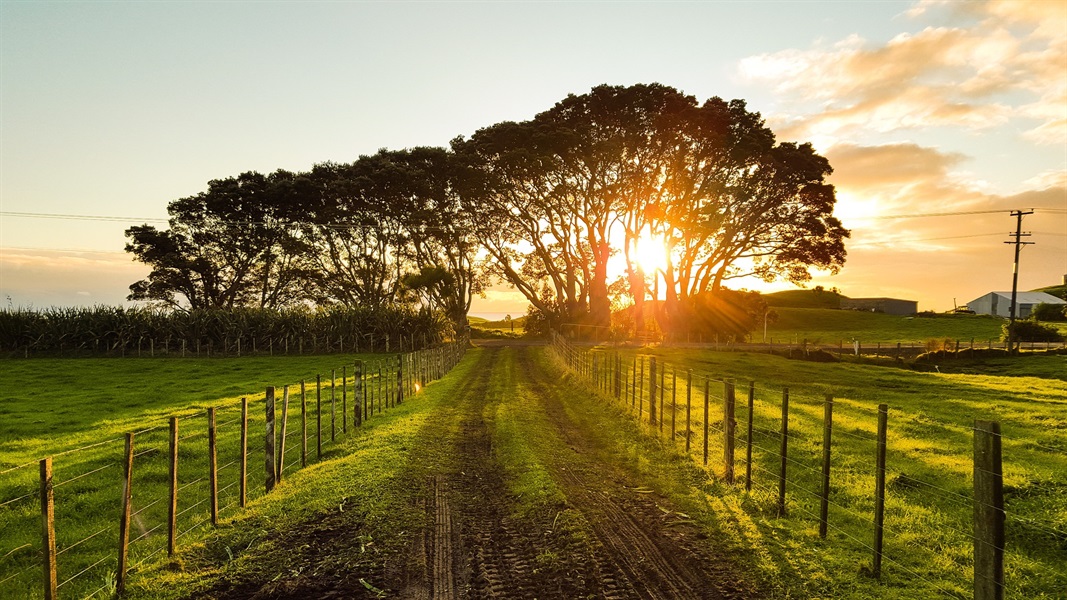 Is Farmland a Good Investment? What You Need to Know