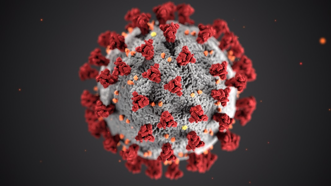 7 Lessons Learned During The Coronavirus Pandemic