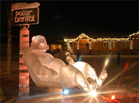 A Dental Odyssey: 1964 - 2014