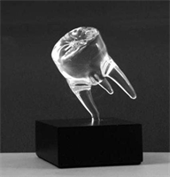 The 2016 Dentin Awards are Here!