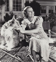 What’s Done is “Dunne” – Dental Love Story 2