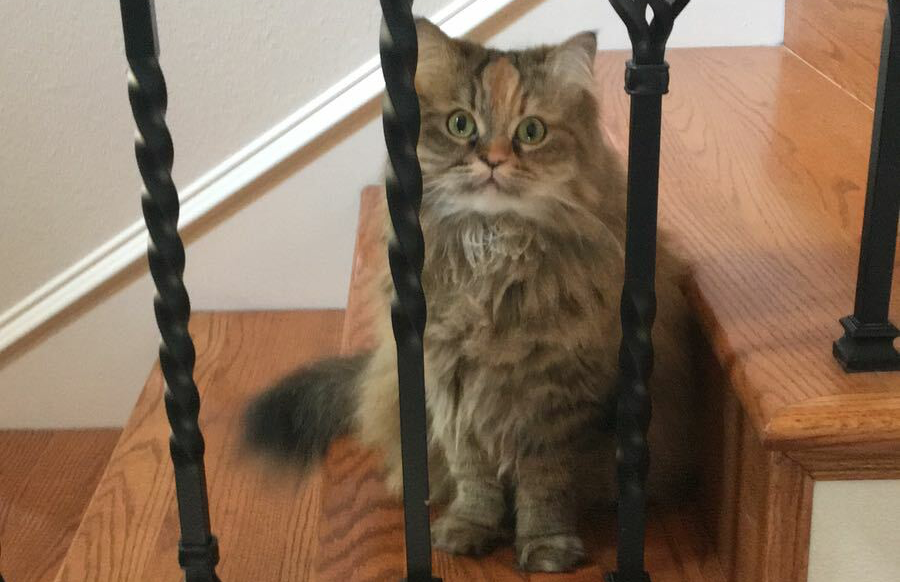 Two steps to YOUR success