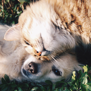 Invasion of personal space in the exam room
