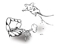 “Sticky Marketing” for the Dental Office, or Why “Grasshopper Mouse”?