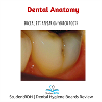 Which tooth has a buccal pit?