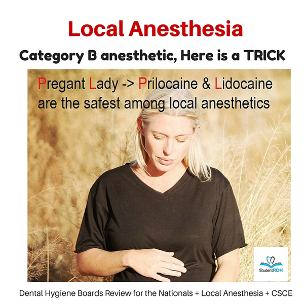 Q: Which drug falls under pregnancy category B?