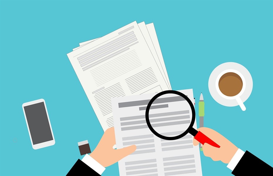 Understanding the Profit and Loss Statement