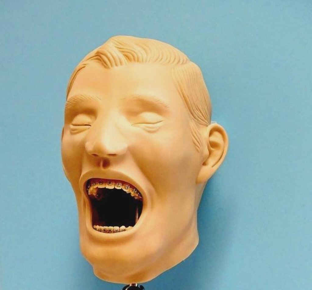 Dental Schools Supplies Buyamag Inc Alpha Leader Durable Best Quality X-Ray Manikin Periodontal Hygiene Simulator Orthodontic Models Anesthesia Teeth Extraction Phantom Training Practice 