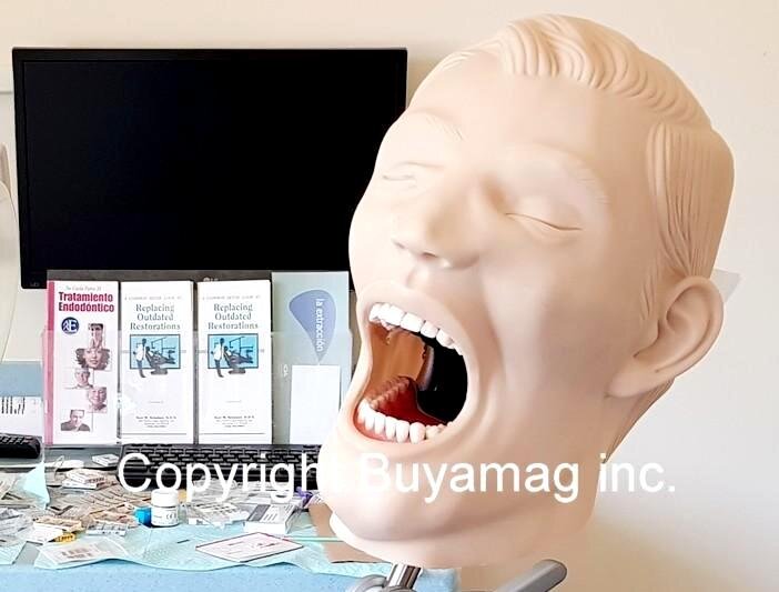 Dental Assistant Schools Supplies Radiology X-Ray Manikin Periodontal Simulator Orthodontic Models Buyamag inc 