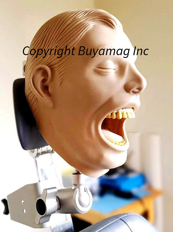 Dental Assistant Schools Supply Practice Dental X-Ray Radiology Manikins Radioggraphy Simulators Training Pantom Heads 