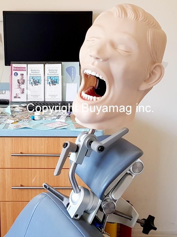 Dental Assistant Schools Supply Practice Dental X-Ray Radiology Manikins Radioggraphy Simulators Training Pantom Heads 