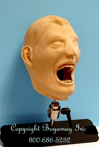 AT BUYAMAG INC WE DESIGN DENTAL MODELS AND MANIKIN SIMULATORS FOR DENTAL EDUCATION IN CLASSROOM OR IN OFFICE SETTINGS. DENTISTRY TEACHING EASY WITH HANDS - ON EXPERIENCE DENTAL MODEL.  