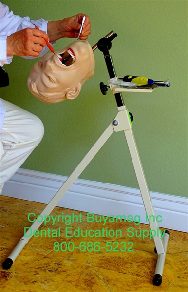 At Buyamag.com Dental Education Practicing Teaching Stand Portable, The Stand can be used in schools or office for learning practicing dentistry techniques.