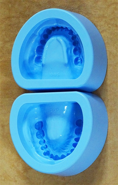 A Dental Rubber Mold Plaster From www. Buyamag.com Offer Adult Model Form Designed 28 Teeth for Making Dental Plaster Models.