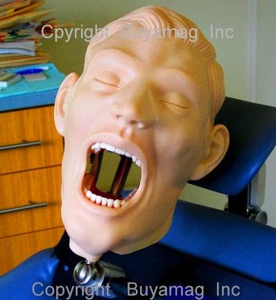 How important role of dental Models in dental education programs in dental schools?