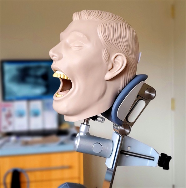 Dental X-Ray Teeth Oral Radiography Simulator Manikin Examination Phantom Training Practice Model