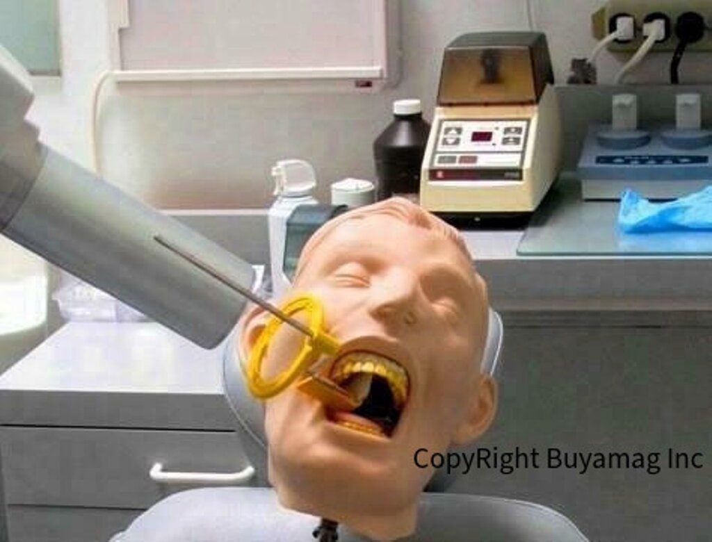 Dental Schools Supplies Buyamag Inc Alpha Leader Durable Best Quality X-Ray Manikin Periodontal Hygiene Simulator Orthodontic Models Anesthesia Teeth Extraction Phantom Training Practice 