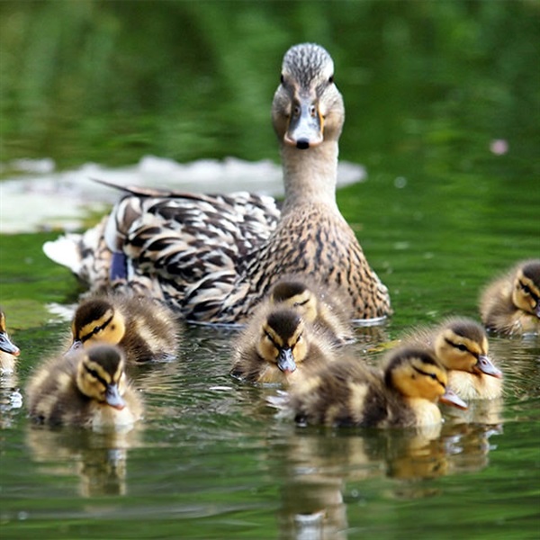 Management and Leadership with Dr. Cathy Jameson (2 of 2)