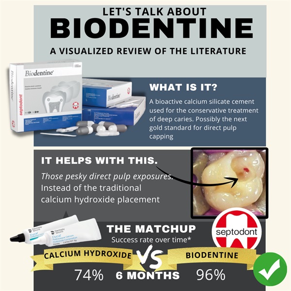 Better than sifting through PubMed- A Visual Literature Review of Biodentine