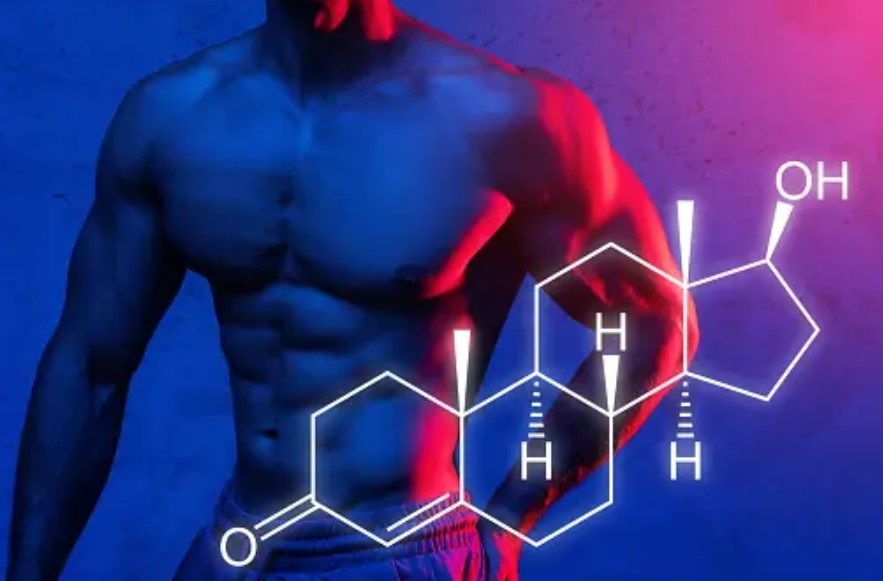 Health Unlocked: A Comprehensive Look at Testosterone Boosters for Men's Well-being After 50