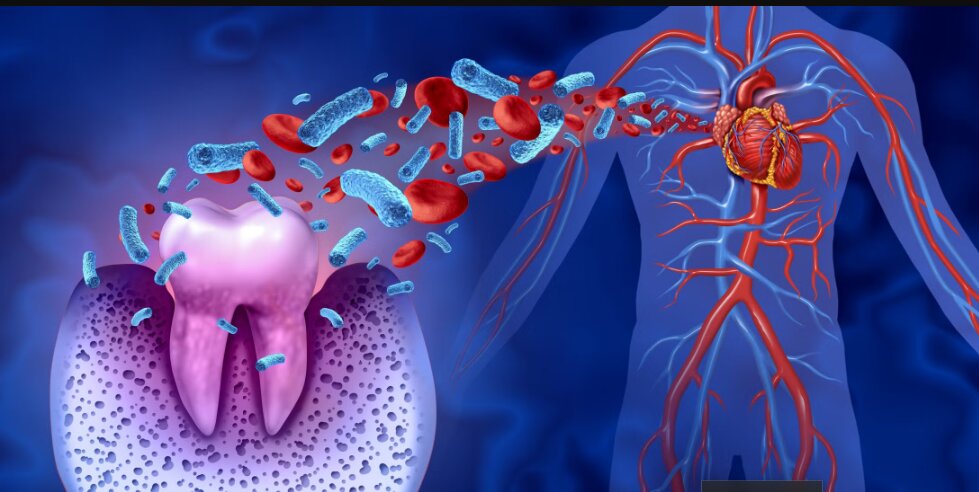 The Connection Between Oral Health and Heart Disease: What Current Research Tells Us