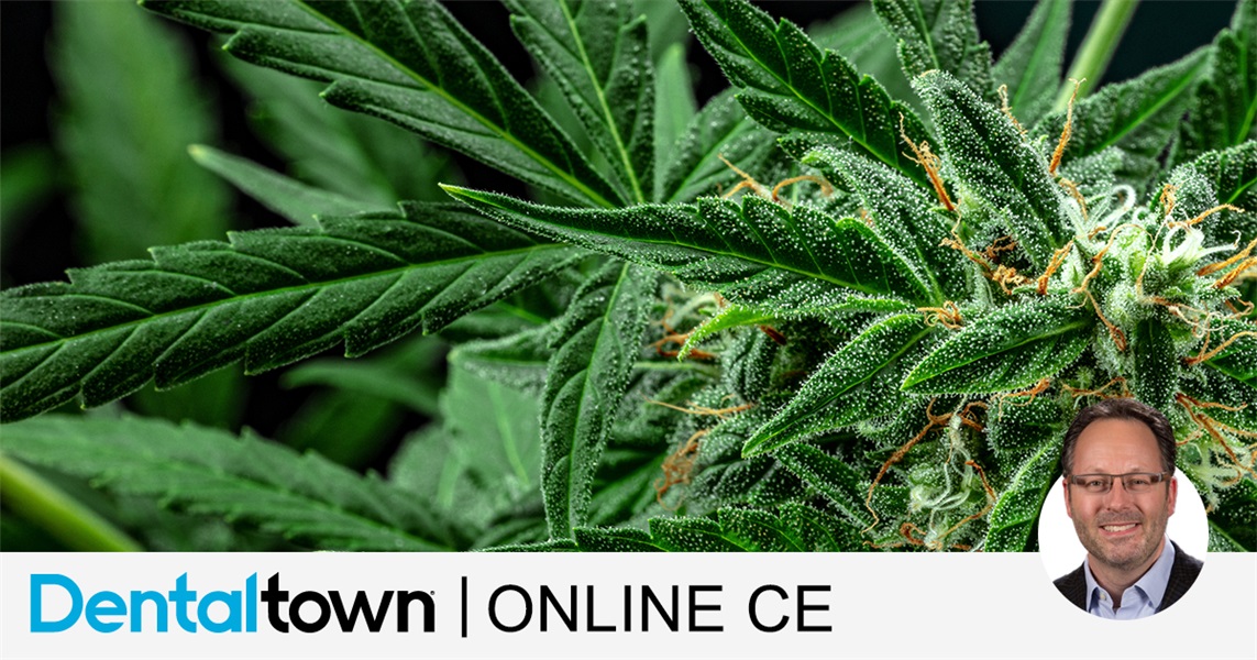 Cannabinoids - What the Practicing Dentist Needs to Know by Dr. Mark Donaldson