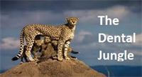 The Dental Jungle – Web Centric Marketing Focus