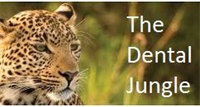 The Dental Jungle - Say Yes