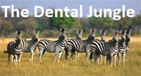 The Dental Jungle – Operatories